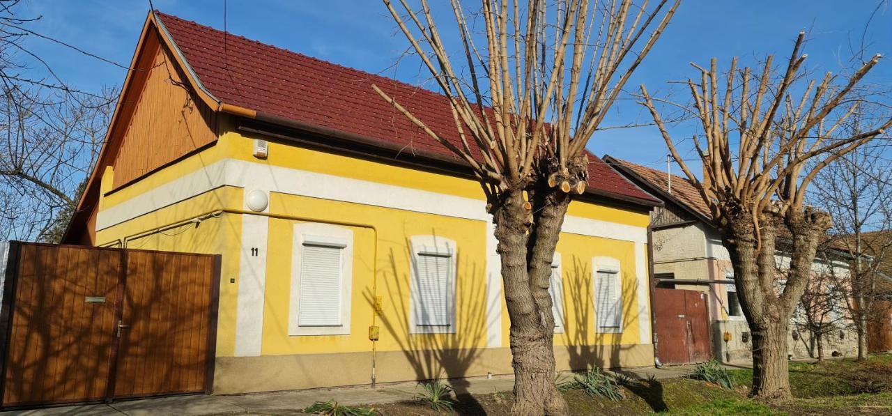 Koelcsey Vendeghaz Lägenhet Hódmezővásárhely Exteriör bild
